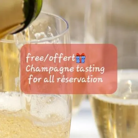 Apartamento Les Loges Du Théatre Maison De 150m2 Privé Reservable De 2 A 14 Personnes équipé Au Pied De L'avenue De Champagne Et Toutes Commodités Degustation Champagne Offerte Jacuzzi Sauna Jeux Velos Emplacement Exceptionnel Et Chic Épernay