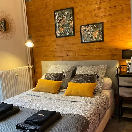 公寓 160m2 - Gare A 200m - Les Loges Du Theatre Avec Jardin En Plein Coeur D'epernay 14pers Max Visite De Cave Guidee Et Degustation Champagne Offert Bien-etre & Jeux & Velos