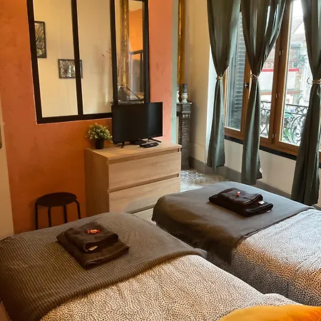 Les Loges Du Theatre Degustation Champagne Offerte Jacuzzi Sauna Jeux Velos Maison Prive 150m2 Historique 14pers Max Emplacement Exceptionnel Et Chic, 200m De L'avenue De Champagne, Gare, Musee, Jardins, Restaurations, Toutes Commodites * Épernay