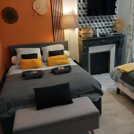 Διαμέρισμα 160m2 - Gare A 200m - Les Loges Du Theatre Avec Jardin En Plein Coeur D'epernay 14pers Max Visite De Cave Guidee Et Degustation Champagne Offert Bien-etre & Jeux & Velos *