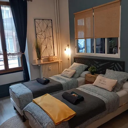 Les Loges Du Theatre Degustation Champagne Offerte Jacuzzi Sauna Jeux Velos Maison Prive 150m2 Historique 14pers Max Emplacement Exceptionnel Et Chic, 200m De L'avenue De Champagne, Gare, Musee, Jardins, Restaurations, Toutes Commodites Appartement Épernay