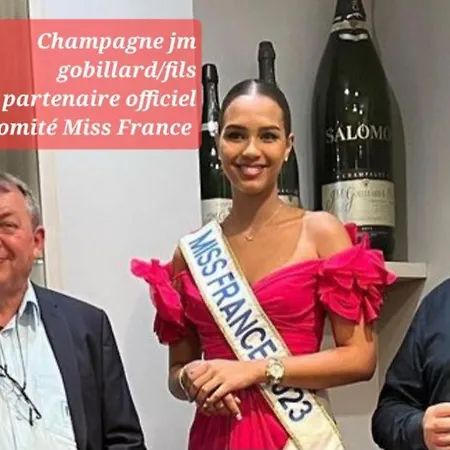 160m2 - Gare A 200m - Les Loges Du Theatre Avec Jardin En Plein Coeur D'epernay 14pers Max Visite De Cave Guidee Et Degustation Champagne Offert Bien-etre & Jeux & Velos Διαμέρισμα *