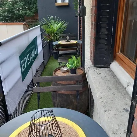 Apartamento Les Loges Du Théatre Maison De 150m2 Privé Reservable De 2 A 14 Personnes équipé Au Pied De L'avenue De Champagne Et Toutes Commodités Degustation Champagne Offerte Jacuzzi Sauna Jeux Velos Emplacement Exceptionnel Et Chic