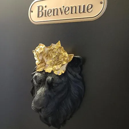 160m2 - Gare A 200m - Les Loges Du Theatre Avec Jardin En Plein Coeur D'epernay 14pers Max Visite De Cave Guidee Et Degustation Champagne Offert Bien-etre & Jeux & Velos Επερνέ