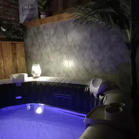 Appartement Les Loges Du Theatre Degustation Champagne Offerte Jacuzzi Sauna Jeux Velos Maison Prive 150m2 Historique 14pers Max Emplacement Exceptionnel Et Chic, 200m De L'avenue De Champagne, Gare, Musee, Jardins, Restaurations, Toutes Commodites *