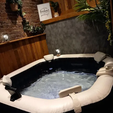 Les Loges Du Theatre Degustation Champagne Offerte Jacuzzi Sauna Jeux Velos Maison Prive 150m2 Historique 14pers Max Emplacement Exceptionnel Et Chic, 200m De L'avenue De Champagne, Gare, Musee, Jardins, Restaurations, Toutes Commodites