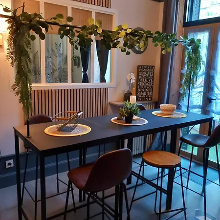 160m2 - Gare A 200m - Les Loges Du Theatre Avec Jardin En Plein Coeur D'epernay 14pers Max Visite De Cave Guidee Et Degustation Champagne Offert Bien-etre & Jeux & Velos Διαμέρισμα *