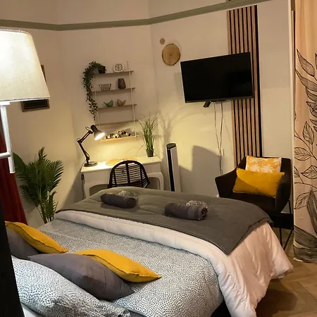 160m2 - Gare A 200m - Les Loges Du Theatre Avec Jardin En Plein Coeur D'epernay 14pers Max Visite De Cave Guidee Et Degustation Champagne Offert Bien-etre & Jeux & Velos *