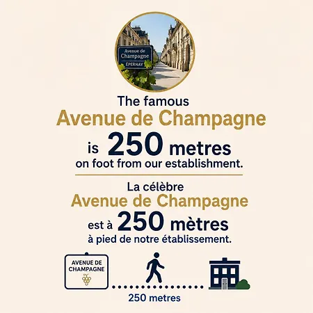 160m2 - Gare A 200m - Les Loges Du Theatre Avec Jardin En Plein Coeur D'epernay 14pers Max Visite De Cave Guidee Et Degustation Champagne Offert Bien-etre & Jeux & Velos 公寓 埃佩尔奈
