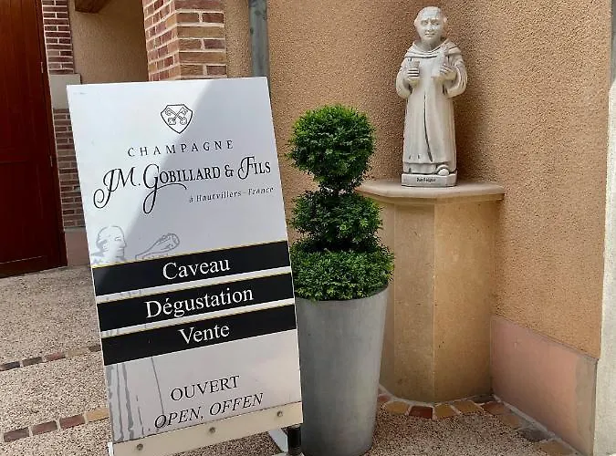 Les Loges Du Theatre Emplacement Exceptionnel Et Chic 160m2 Maison Prive 14 Personnes Max Equipe A 200m De L'avenue De Champagne Et Toutes Commodites Degustation Champagne Offerte Jacuzzi Sauna Jeux Velos