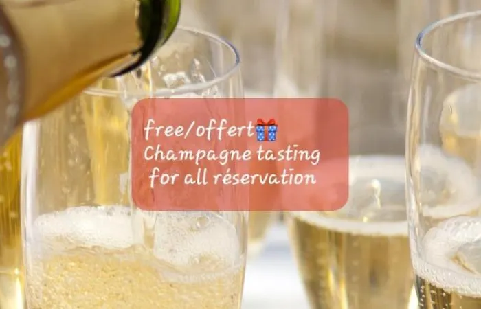 Apartamento Les Loges Du Theatre Emplacement Exceptionnel Et Chic 160m2 Maison Prive 14 Personnes Max Equipe A 200m De L'avenue De Champagne Et Toutes Commodites Degustation Champagne Offerte Jacuzzi Sauna Jeux Velos Épernay