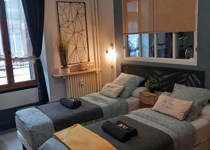 Les Loges Du Theatre Emplacement Exceptionnel Et Chic 160m2 Maison Prive 14 Personnes Max Equipe A 200m De L'avenue De Champagne Et Toutes Commodites Degustation Champagne Offerte Jacuzzi Sauna Jeux Velos Apartamento Épernay