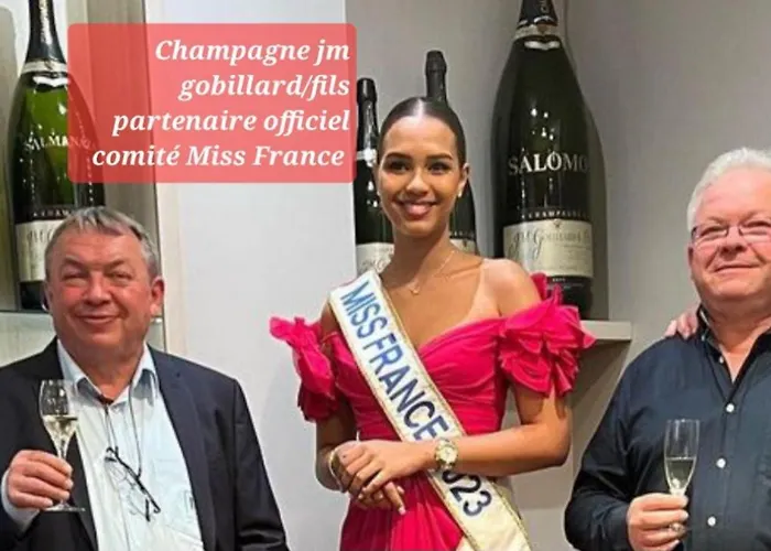 Les Loges Du Theatre Emplacement Exceptionnel Et Chic 160m2 Maison Prive 14 Personnes Max Equipe A 200m De L'avenue De Champagne Et Toutes Commodites Degustation Champagne Offerte Jacuzzi Sauna Jeux Velos Lägenhet *