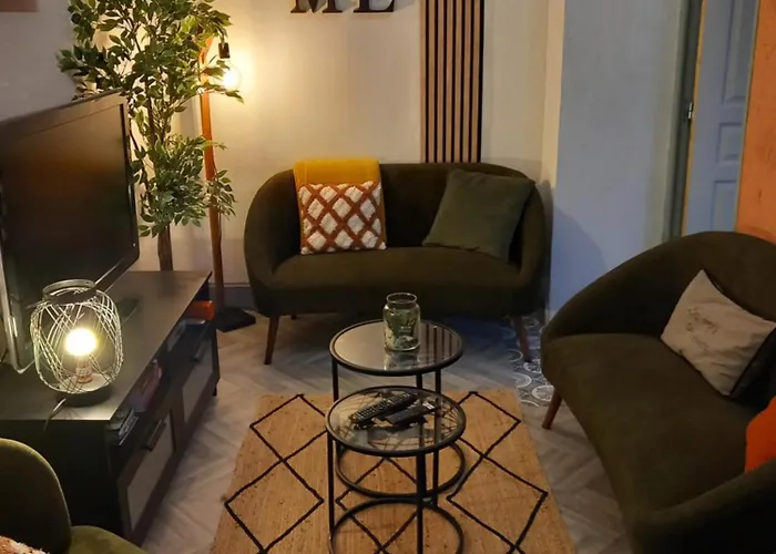 Les Loges Du Theatre Emplacement Exceptionnel Et Chic 160m2 Maison Prive 14 Personnes Max Equipe A 200m De L'avenue De Champagne Et Toutes Commodites Degustation Champagne Offerte Jacuzzi Sauna Jeux Velos * Épernay